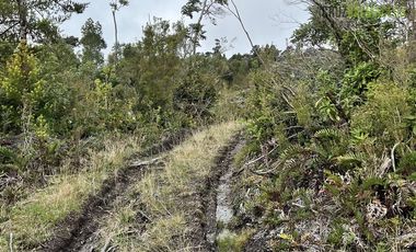 Agrícola en Venta en Estaquilla Alto