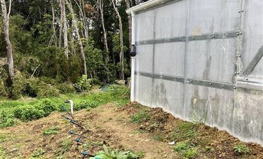 Agrícola en Venta en Estaquilla Alto