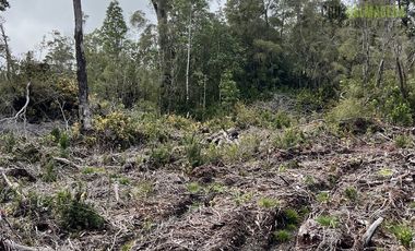 Agrícola en Venta en Estaquilla Alto