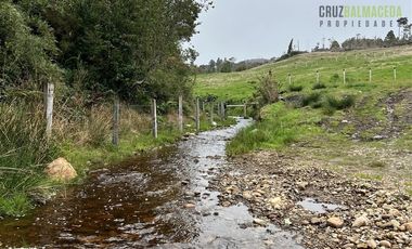 Agrícola en Venta en Estaquilla Alto
