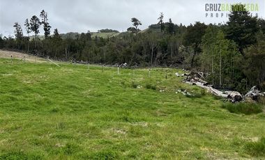 Agrícola en Venta en Estaquilla Alto