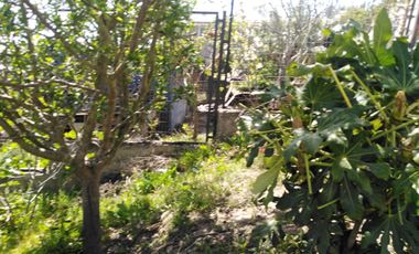 CASA AISLADA ILUMINADA 2 PISOS