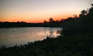 Disfruta de esta Casa en venta con vista a la laguna, flamingos y cerca de la playa  en Chabihau, Yucatan