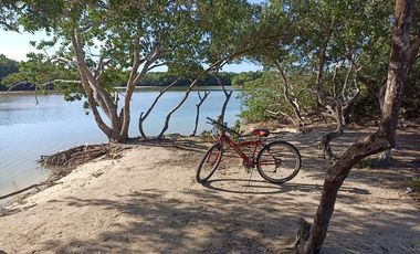 Disfruta de esta Casa en venta con vista a la laguna, flamingos y cerca de la playa  en Chabihau, Yucatan