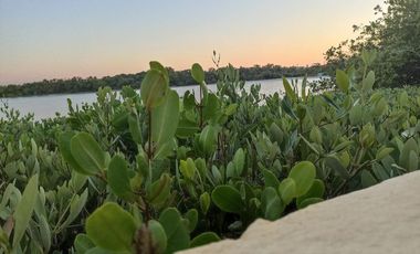 Disfruta de esta Casa en venta con vista a la laguna, flamingos y cerca de la playa  en Chabihau, Yucatan