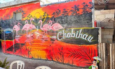 Disfruta de esta Casa en venta con vista a la laguna, flamingos y cerca de la playa  en Chabihau, Yucatan