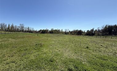 Parcela en Venta en camino a pinto kilometro 18