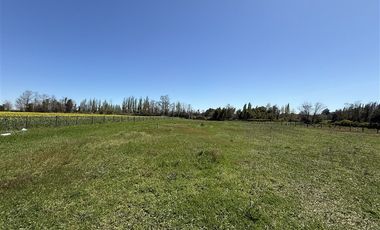 Parcela en Venta en camino a pinto kilometro 18