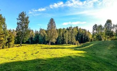 Parcela en venta en QUEILÉN