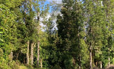 Parcela en venta en QUEILÉN