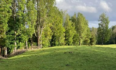 Parcela en venta en QUEILÉN