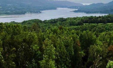 Parcela en venta en QUEILÉN