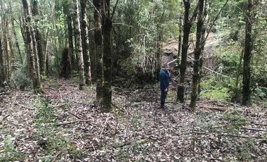 Parcela en venta en QUEILÉN