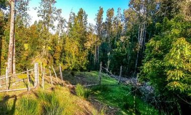 Parcela en venta en QUEILÉN