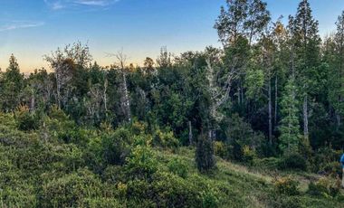 Parcela en venta en QUEILÉN