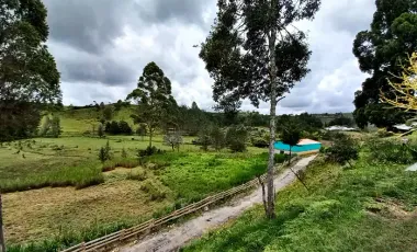 Finca agropecuaria de 6,4 ha con cultivo de aguacate en venta