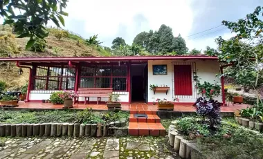 Finca agropecuaria de 6,4 ha con cultivo de aguacate en venta