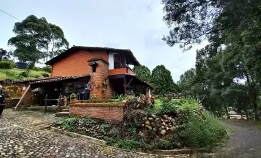 Finca agropecuaria de 6,4 ha con cultivo de aguacate en venta