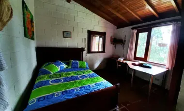 Finca agropecuaria de 6,4 ha con cultivo de aguacate en venta