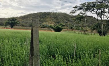 Venta terreno Guayllabamba 1 hectárea agrícola con agua de riego