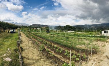 Venta terreno Guayllabamba 1 hectárea agrícola con agua de riego