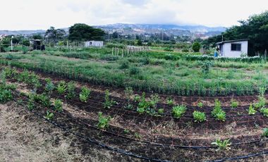 Venta terreno Guayllabamba 1 hectárea agrícola con agua de riego