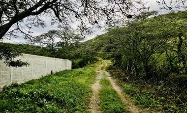 Venta terreno Guayllabamba 1 hectárea agrícola con agua de riego