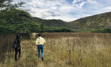 Venta terreno Guayllabamba 1 hectárea agrícola con agua de riego
