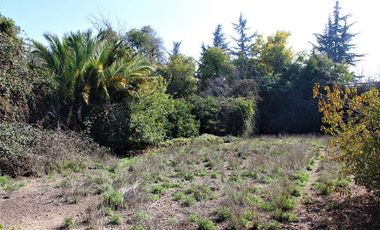 Sitio en Venta en Dominicos Antiguo