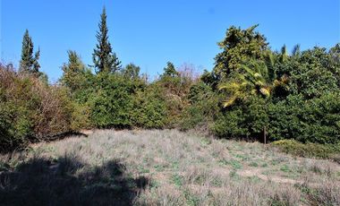 Sitio en Venta en Dominicos Antiguo