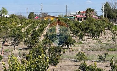 Oportunidad! Terreno de 20.000 m2 Agro-Residencial