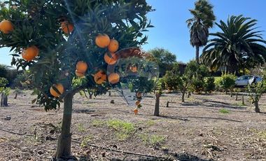 Oportunidad! Terreno de 20.000 m2 Agro-Residencial