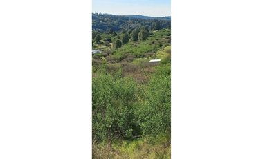 Gran terreno en Litueche