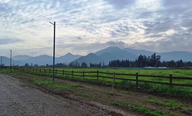 En Venta Parcela Olivar