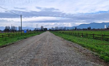 En Venta Parcela Olivar