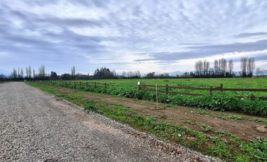 En Venta Parcela Olivar