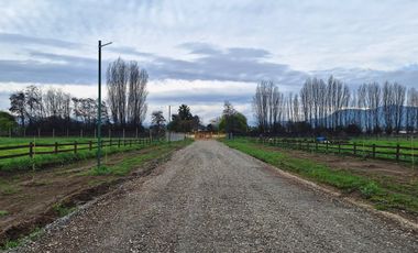 En Venta Parcela Olivar