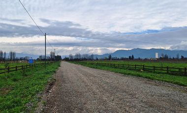 En Venta Parcela Olivar