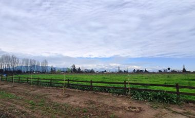 En Venta Parcela Olivar