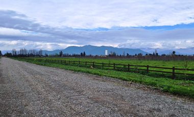 En Venta Parcela Olivar