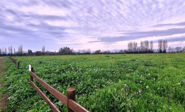 En Venta Parcela Olivar