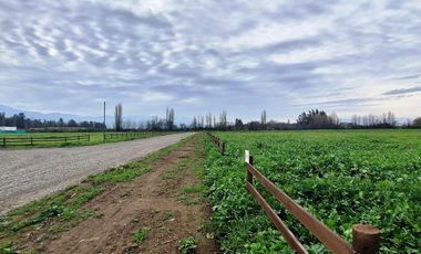 En Venta Parcela Olivar