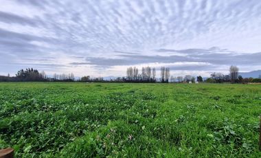 En Venta Parcela Olivar