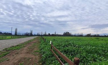 En Venta Parcela Olivar