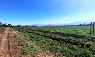 Venta Parcelas urbanizadas La Compañía