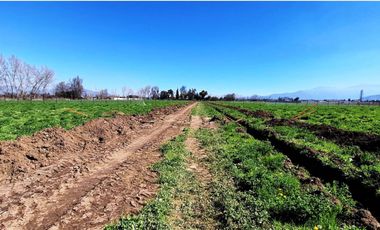 Venta Parcelas urbanizadas La Compañía