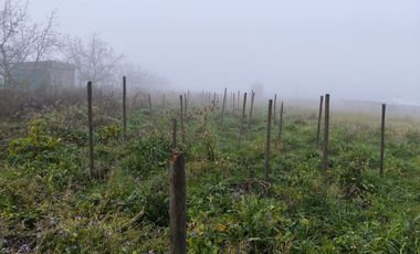 Terreno en Nogales de Requinoa