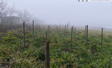 Terreno en Nogales de Requinoa