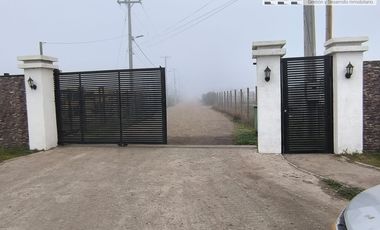 Terreno en Nogales de Requinoa