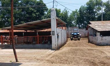 RANCHO EN VENTA EN EL VENADO, ALVARO OBREGON